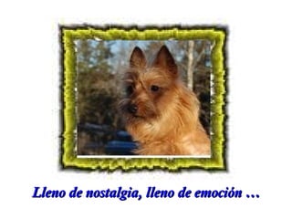 Lleno de nostalgia, lleno de emoción …

 