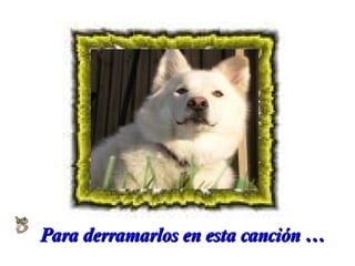 Para derramarlos en esta canción …

 