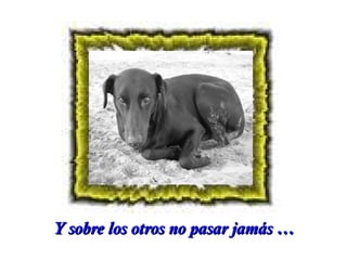 Y sobre los otros no pasar jamás …

 