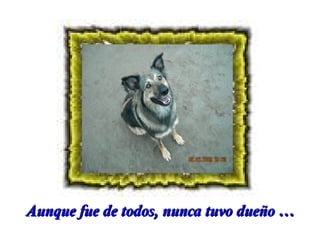 Aunque fue de todos, nunca tuvo dueño …

 