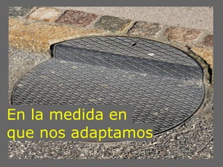 En la medida en
que nos adaptamos
 