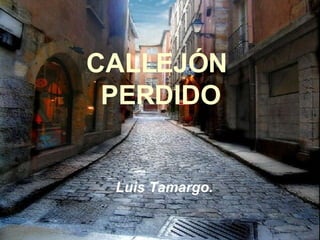 CALLEJÓN  PERDIDO Luis Tamargo. 
