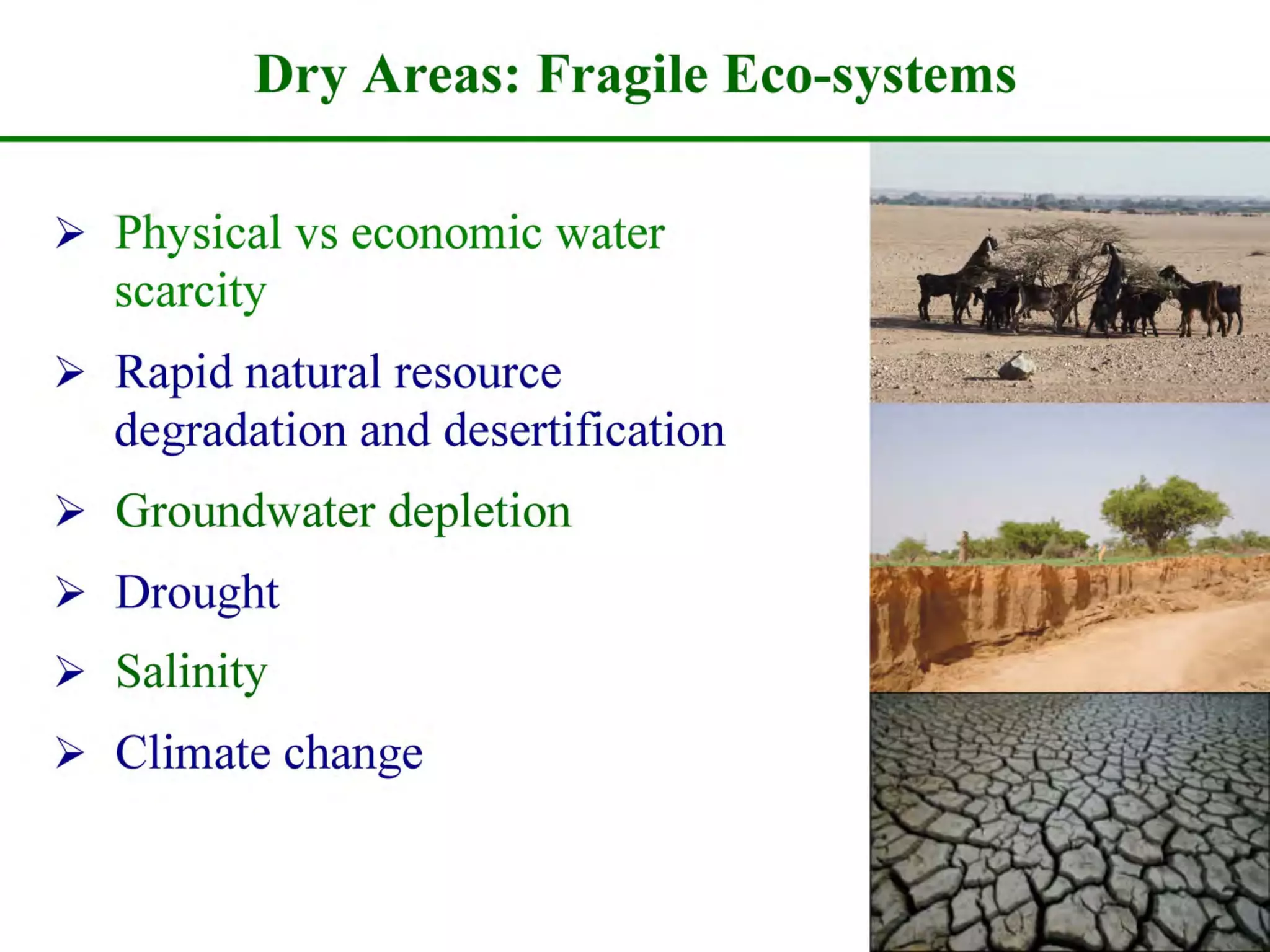 Role of Science and Technology in Food & Water Security in Drylands | PDF