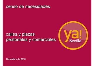 censo de necesidades




calles y plazas
peatonales y comerciales



Diciembre de 2010
 