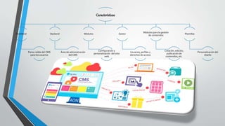 Características
Frontlend
Parte visible del CMS
para los usuarios
Backend
Área de administración
del CMS
Módulos
Configuración y
personalización del sitio
web
Gestor
Usuarios, perfiles y
derechos de acceso
Módulos para la gestión
de contenidos
Creación, edición,
publicación de
contenidos, etc.
Plantillas
Personalización del
diseño
 