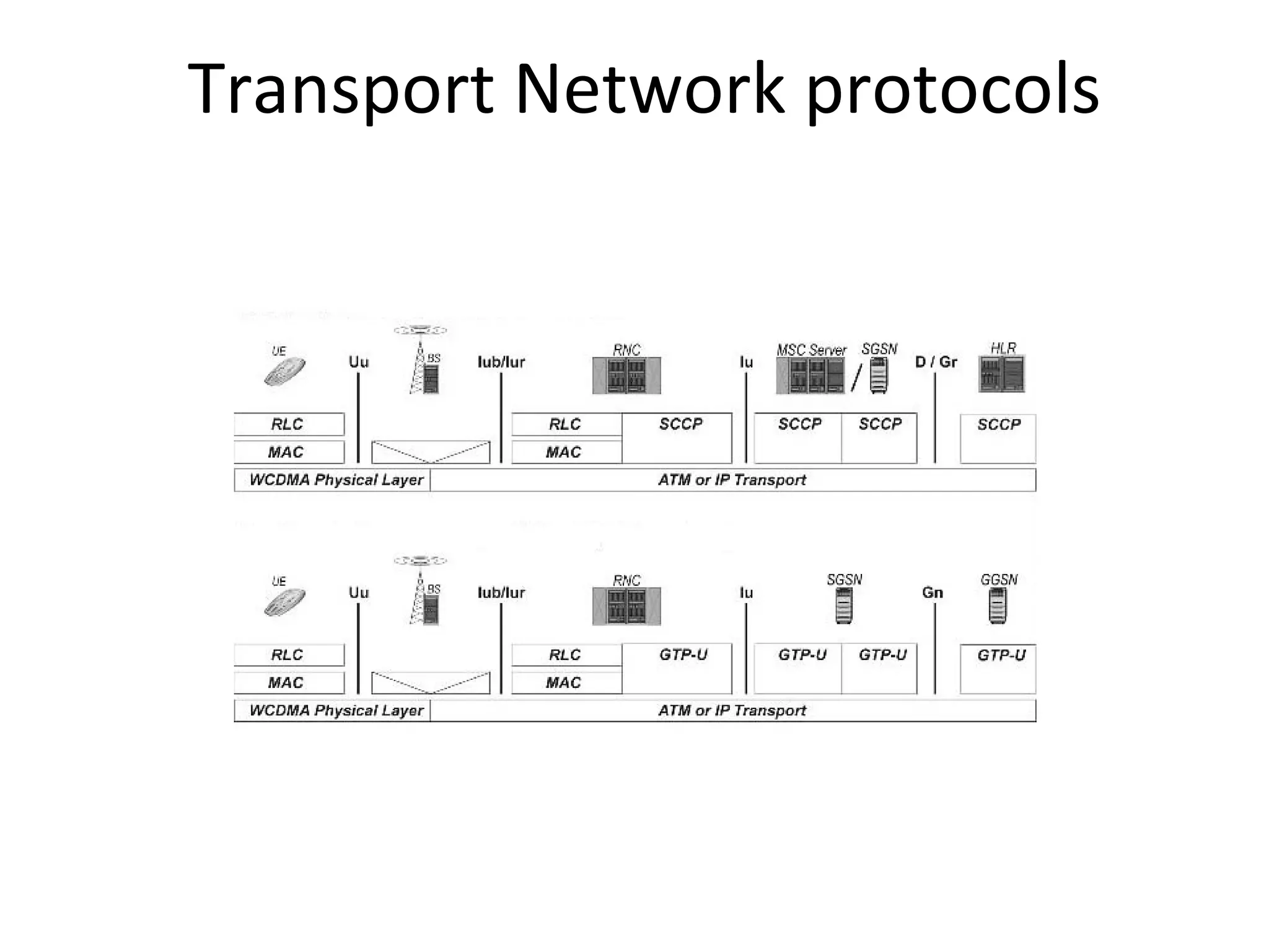 Transport Network protocols
 