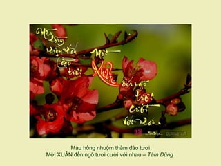 Màu hồng nhuộm thắm đào tươi
Mời XUÂN đến ngõ tươi cười với nhau – Tâm Dũng
 