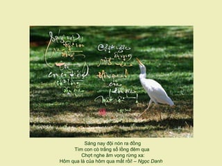 Sáng nay đội nón ra đồng
     Tìm con cò trắng sổ lồng đêm qua
         Chợt nghe âm vọng rừng xa:
Hôm qua là của hôm qua mất rồi! – Ngọc Danh
 