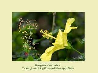 Bao giờ em hiện là hoa
Ta lên gõ cửa trăng tà mượn kinh – Ngọc Danh
 