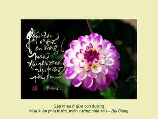 Gặp nhau ở giữa con đường
Mùa Xuân phía trước, miên trường phía sau – Bùi Giáng
 