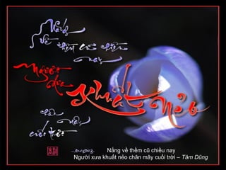 Nắng về thềm cũ chiều nay
Người xưa khuất nẻo chân mây cuối trời – Tâm Dũng
 