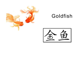 Goldfish
 