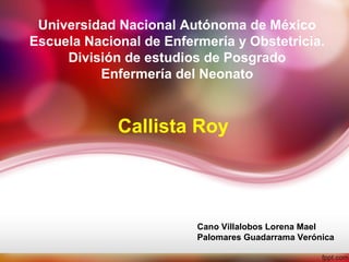 Universidad Nacional Autónoma de México
Escuela Nacional de Enfermería y Obstetricia.
     División de estudios de Posgrado
          Enfermería del Neonato


             Callista Roy




                         Cano Villalobos Lorena Mael
                         Palomares Guadarrama Verónica
 