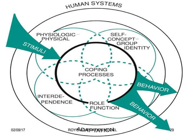 Roy's Adaptation Model Diagram Roy Adaptation Model Theory A