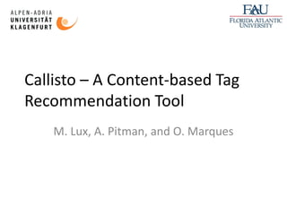 Callisto – A Content-based Tag
Recommendation Tool
    M. Lux, A. Pitman, and O. Marques
 