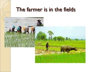 TThhee ffaarrmmeerr iiss iinn tthhee ffiieellddss 
 