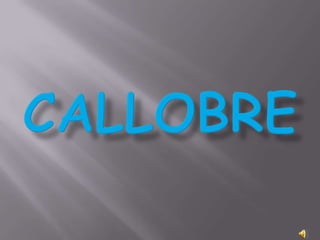 callobre 