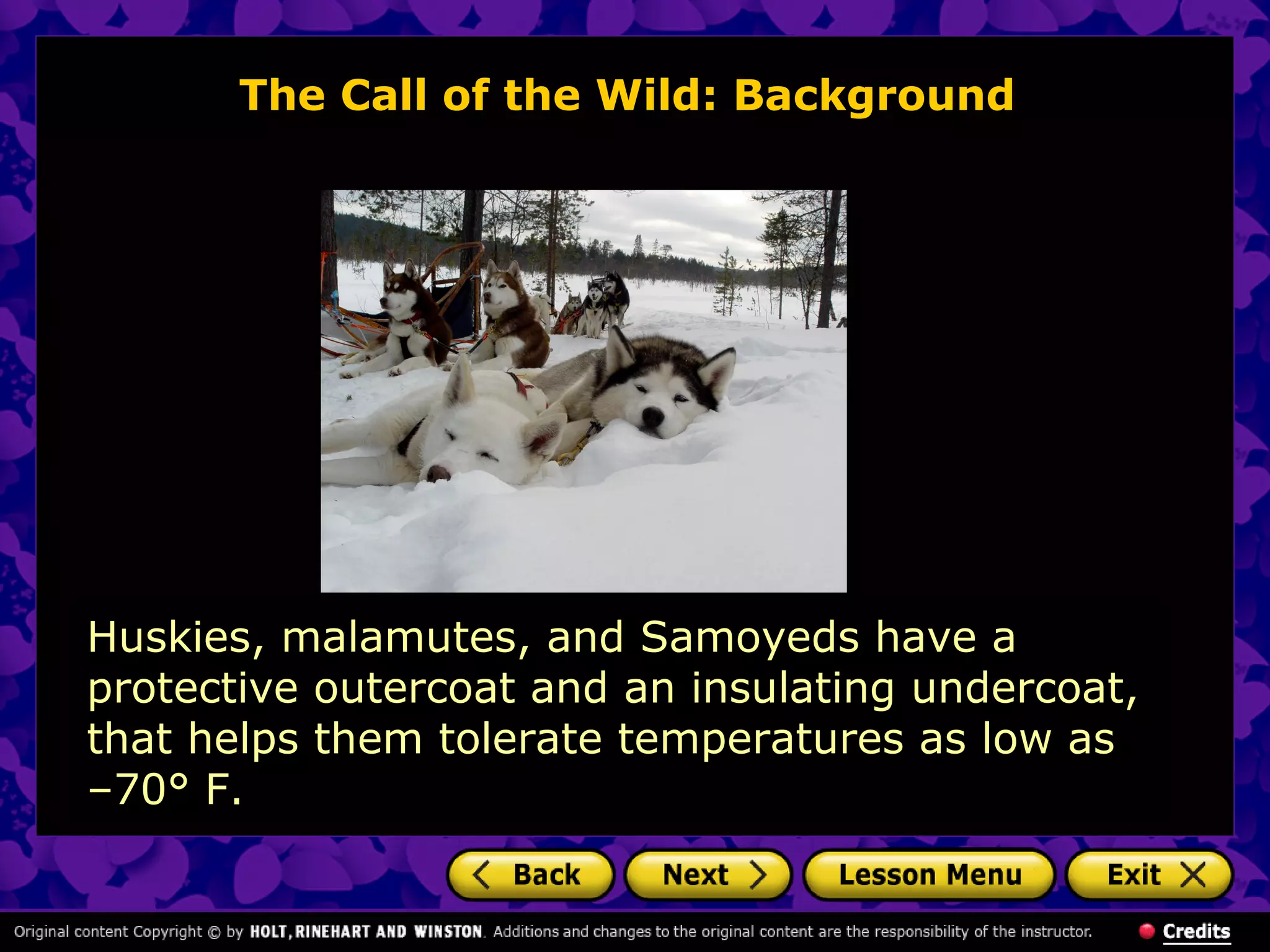 The Call of the Wild: Background
Huskies, malamutes, and Samoyeds have a
protective outercoat and an insulating undercoat,
that helps them tolerate temperatures as low as
–70° F.
 