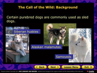 The Call of the Wild: Background
Certain purebred dogs are commonly used as sled
dogs.
Alaskan malamutes
Siberian huskies
Samoyeds
 
