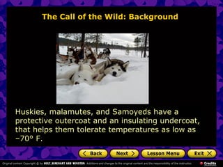 The Call of the Wild: Background
Huskies, malamutes, and Samoyeds have a
protective outercoat and an insulating undercoat,
that helps them tolerate temperatures as low as
–70° F.
 
