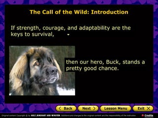 The Call of the Wild: Introduction
If strength, courage, and adaptability are the
keys to survival,
then our hero, Buck, stands a
pretty good chance.
 