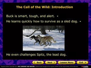 The Call of the Wild: Introduction
Buck is smart, tough, and alert.
He even challenges Spitz, the lead dog.
He learns quickly how to survive as a sled dog.
 