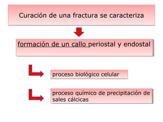 Curación de una fractura se caracterizaCuración de una fractura se caracteriza
proceso biológico celularproceso biológico celular
formación de un callo periostal y endostalformación de un callo periostal y endostal
proceso químico de precipitación de
sales cálcicas
proceso químico de precipitación de
sales cálcicas
 