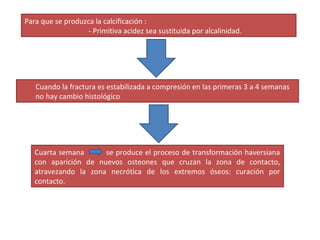 Cuando la fractura es estabilizada a compresión en las primeras 3 a 4 semanas
no hay cambio histológico
Cuarta semana se produce el proceso de transformación haversiana
con aparición de nuevos osteones que cruzan la zona de contacto,
atravezando la zona necrótica de los extremos óseos: curación por
contacto.
Para que se produzca la calcificación :
- Primitiva acidez sea sustituida por alcalinidad.
 