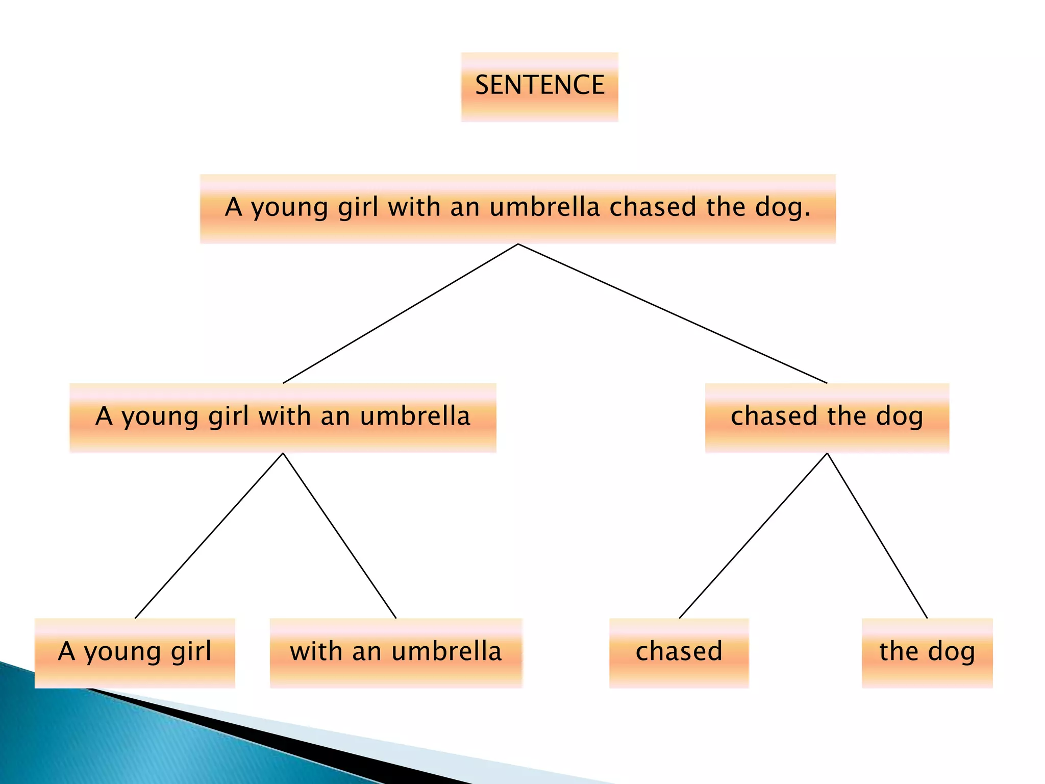 SENTENCE
A young girl with an umbrella chased the dog.
chased the dogA young girl with an umbrella
the dogchasedwith an umbrellaA young girl