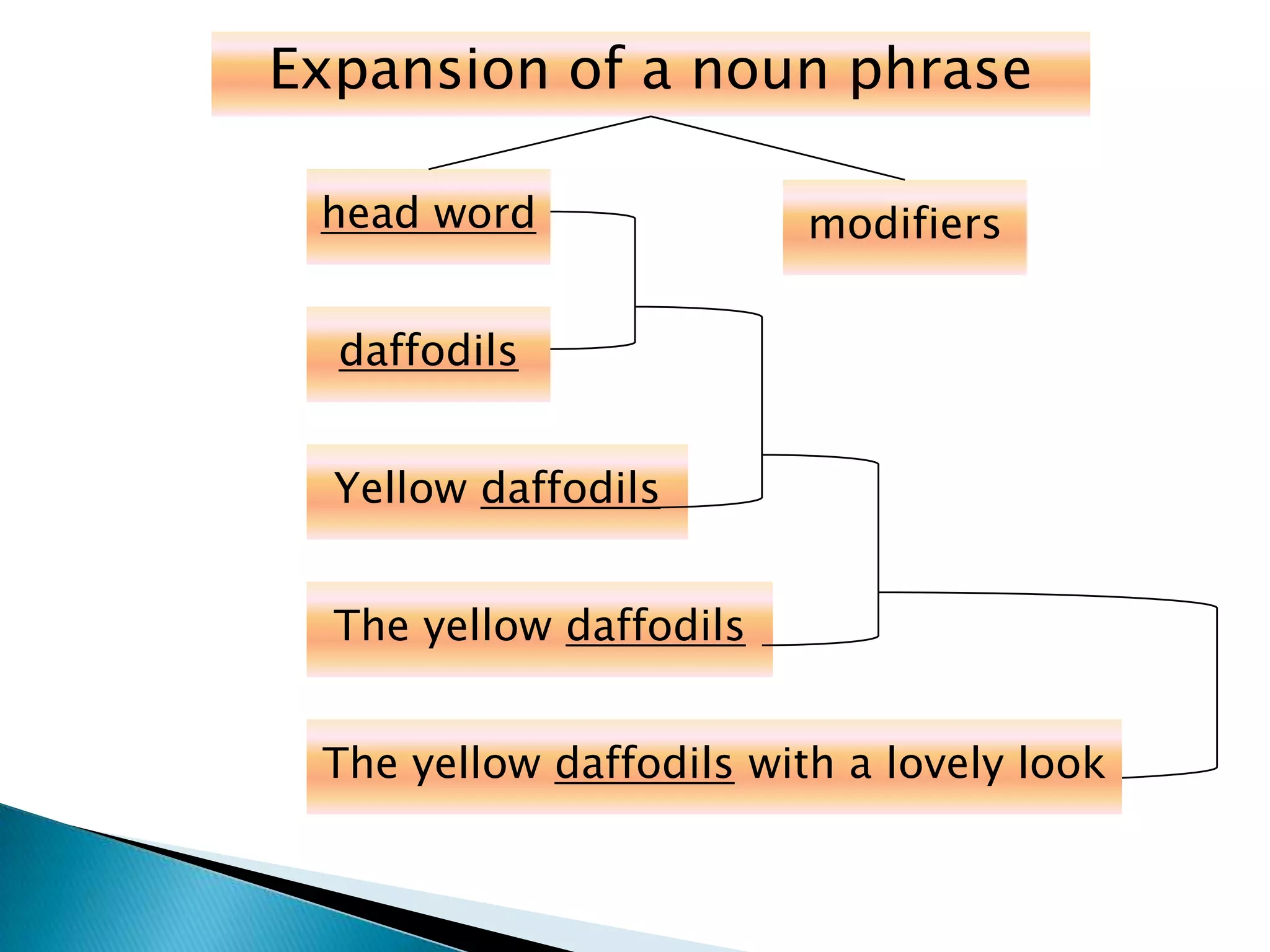 Expansion of a noun phrase
head word modifiers
daffodils
Yellow daffodils
The yellow daffodils
The yellow daffodils with a lovely look