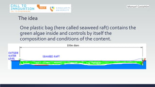 The idea
One plastic bag (here called seaweed raft) contains the
green algae inside and controls by itself the
composition and conditions of the content.
 