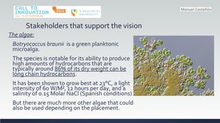 Stakeholders that support the vision
The algae:
Botryococcus braunii is a green planktonic
microalga.
The species is notable for its ability to produce
high amounts of hydrocarbons that are
typically around 86% of its dry weight can be
long chain hydrocarbons.
It has been shown to grow best at 23C, a light
intensity of 60 W/M?, 12 hours per day, and a
salinity of 0.15 Molar NaCl (Spanish conditions)
But there are much more other algae that could
also be used depending on the placement.
 
