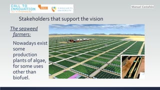 Stakeholders that support the vision
The seaweed
farmers:
Nowadays exist
some
production
plants of algae,
for some uses
other than
biofuel.
 