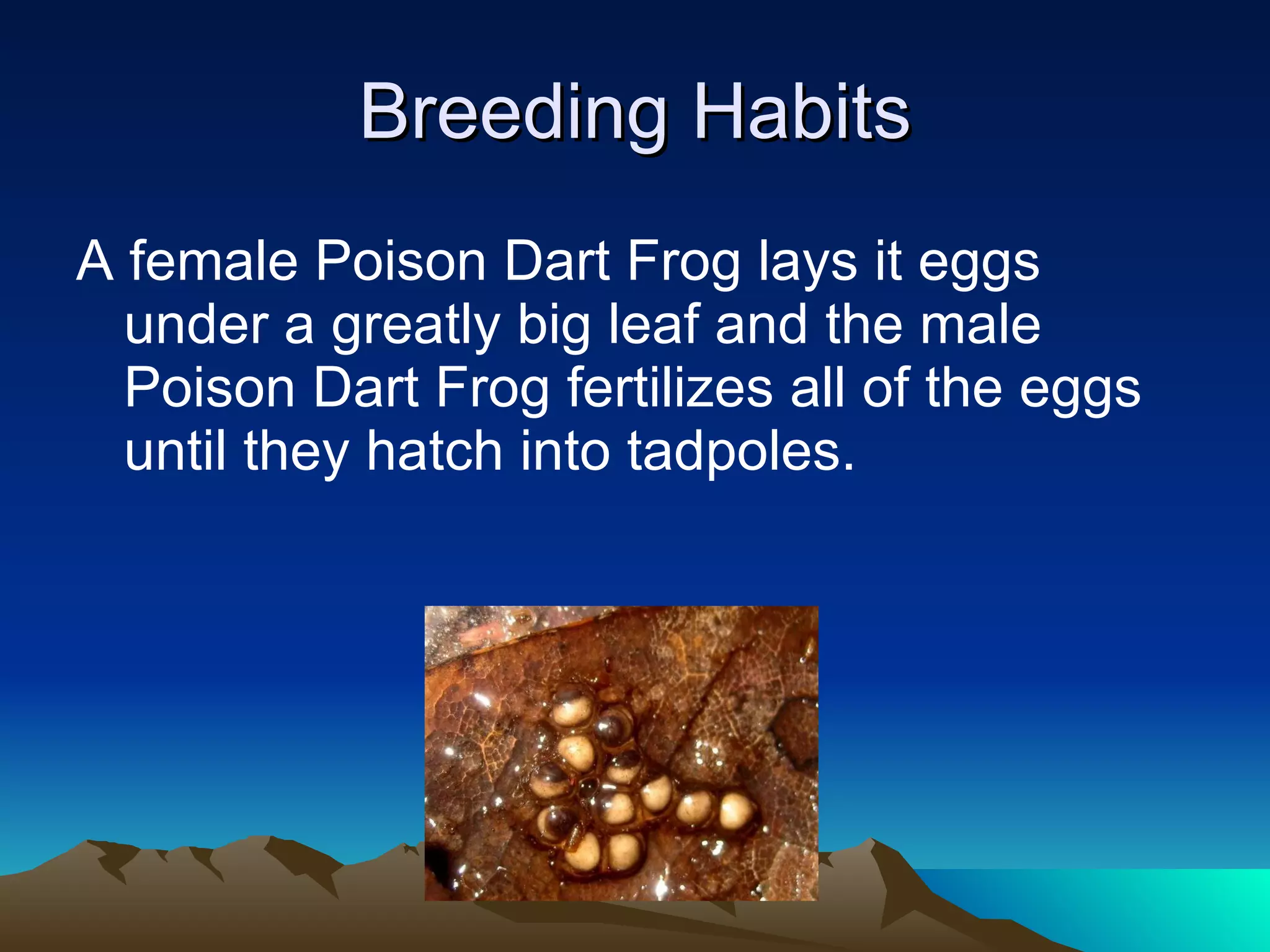 View of Callum l poison dart frog powerpoint | PPT