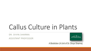 Callus Culture in Plants
DR. DIVYA SHARMA
ASSISTANT PROFESSOR
A Biodiction (A Unit of Dr. Divya Sharma)
 