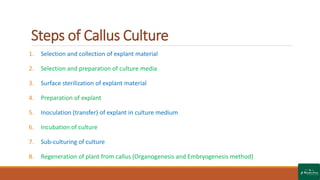 Callus Culture