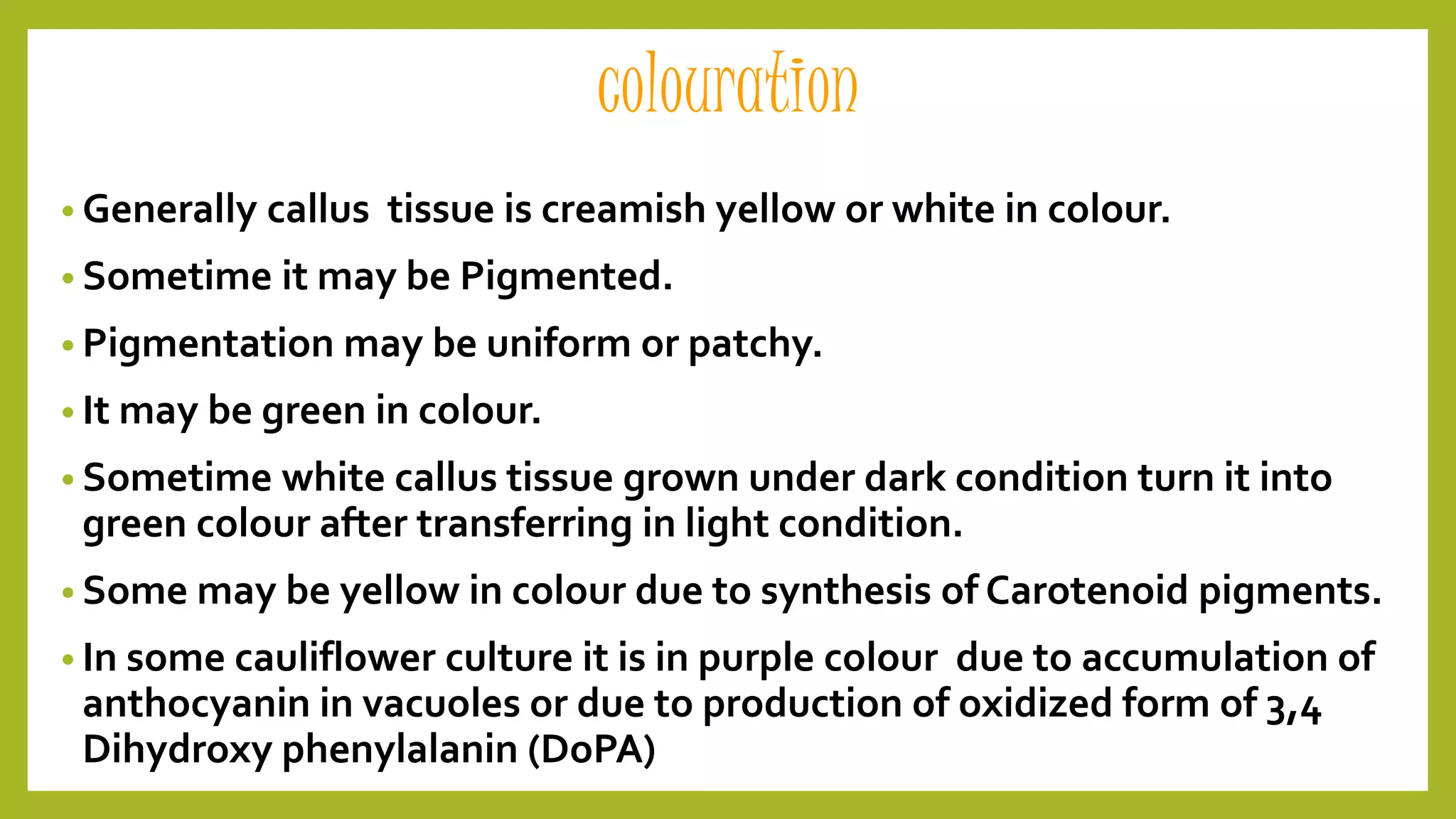 Callus culture ppt | PPTX