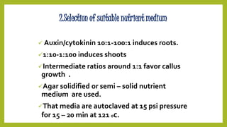 Callus culture ppt | PPTX