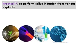 Practical 7: To perform callus induction from various
explants
This Photo by Unknown Author is licensed under CC
 