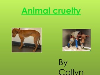 Animal cruelty




        By
 