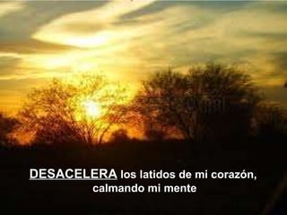 DESACELERA  los latidos de mi corazón,  calmando mi mente 