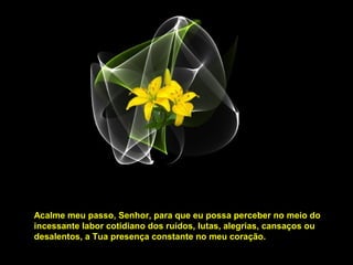 Acalme meu passo, Senhor, para que eu possa perceber no meio do
incessante labor cotidiano dos ruídos, lutas, alegrias, cansaços ou
desalentos, a Tua presença constante no meu coração.
 