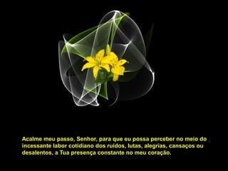 Acalme meu passo, Senhor, para que eu possa perceber no meio do
incessante labor cotidiano dos ruídos, lutas, alegrias, cansaços ou
desalentos, a Tua presença constante no meu coração.

 