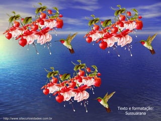 Texto e formatação: Sussuarana http://www.sitecuriosidades.com.br 