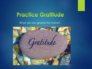 What are you grateful for today?
 