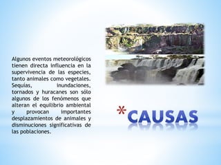 Algunos eventos meteorológicos
tienen directa influencia en la
supervivencia de las especies,
tanto animales como vegetales.
Sequías, inundaciones,
tornados y huracanes son sólo
algunos de los fenómenos que
alteran el equilibrio ambiental
y provocan importantes
desplazamientos de animales y
disminuciones significativas de
las poblaciones.
 