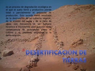 es un proceso de degradación ecológica en
el que el suelo fértil y productivo pierde
total o parcialmente el potencial de
producción. Esto sucede como resultado
de la destrucción de su cubierta vegetal,
de la erosión del suelo y de la falta de
agua; con frecuencia el ser humano
favorece e incrementa este proceso como
consecuencia de actividades como el
cultivo y el pastoreo excesivos o la
deforestación
 