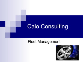 Calo Consulting Fleet Management 