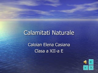 Calamitati Naturale Caloian Elena Casiana Clasa a X II -a E 
