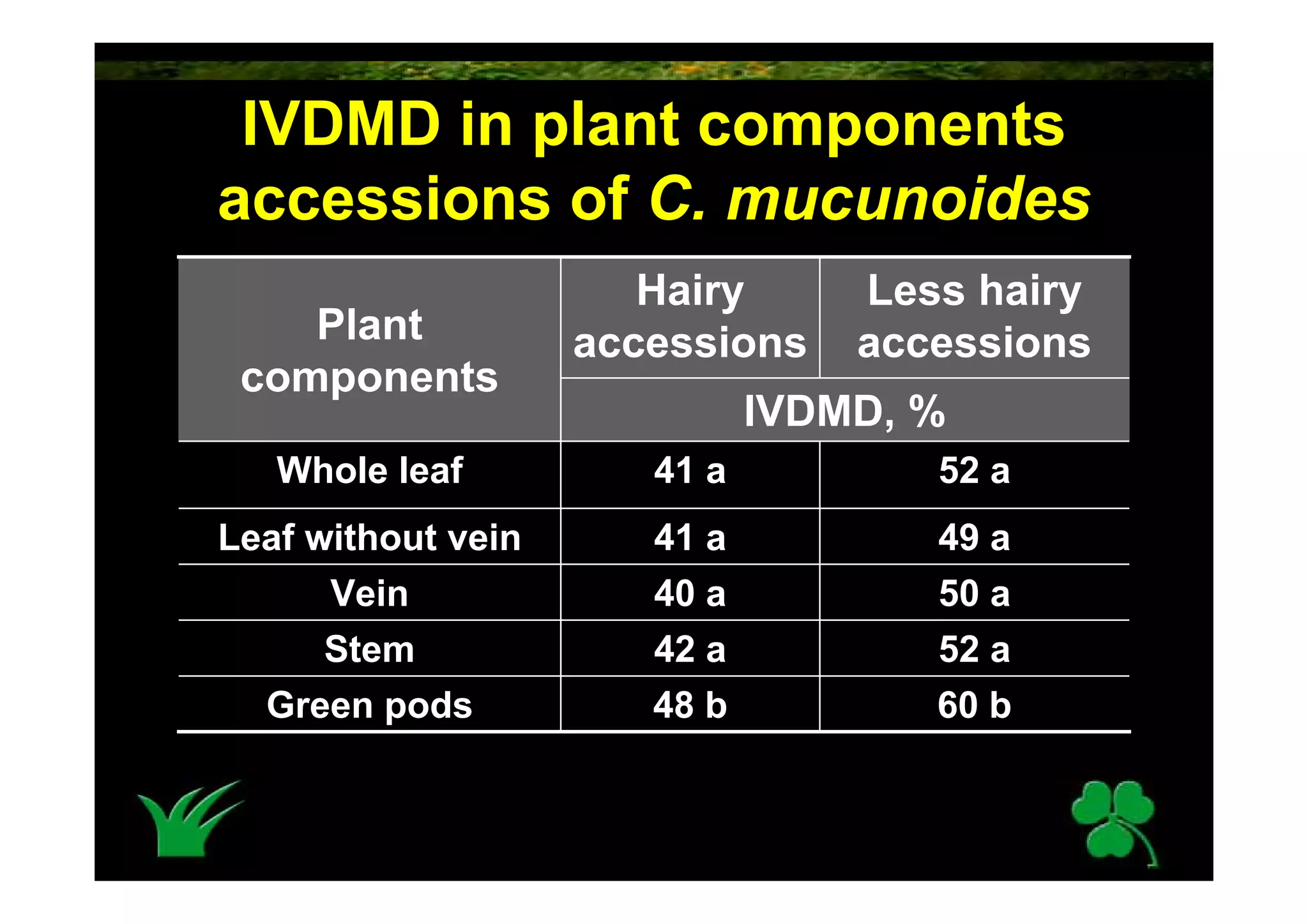 Calopogonium Mucunoides